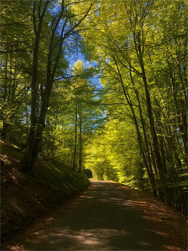 Le col de Belleroche - M.Ballet