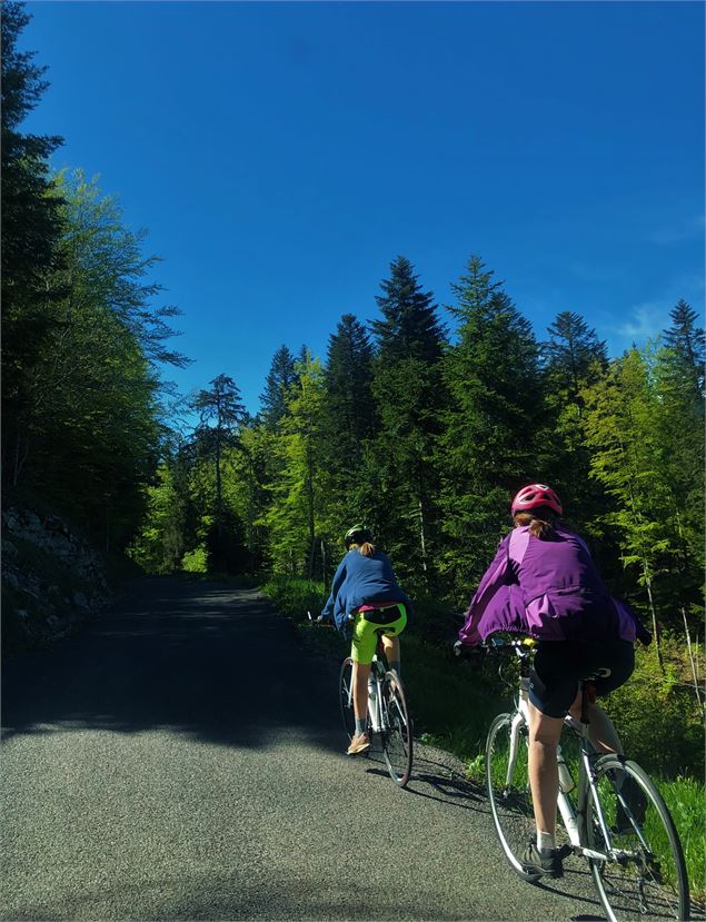 Cyclistes dans col de Belleroche - M.Ballet