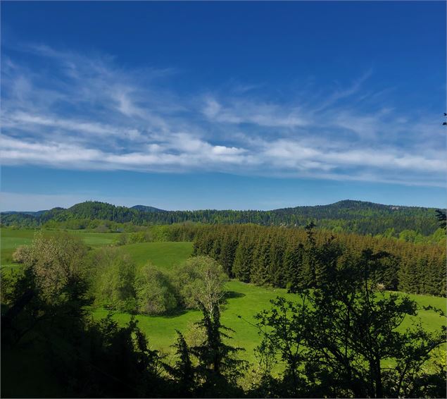 Vue depuis la montée du col de Belleroche - M.Ballet