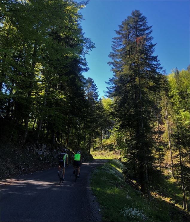 Cyclistes dans col de Belleroche - M.Ballet