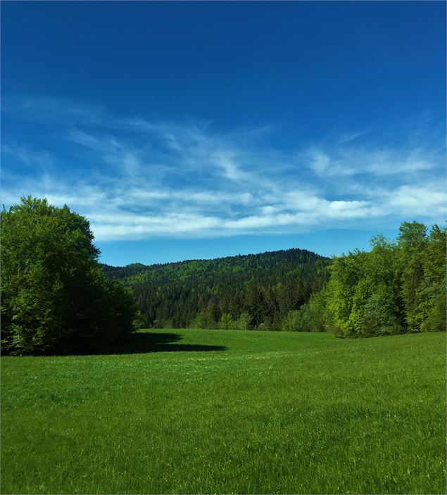 Vue depuis le col de Belleroche - M.Ballet