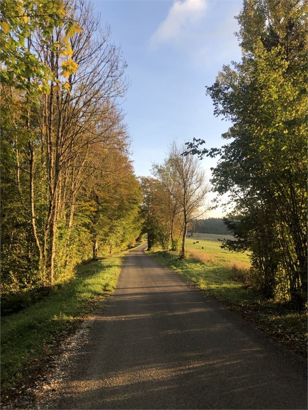 Combe du Mortier entre Lachat et le col de Belleroche - M.Ballet