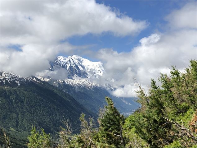 Vue - OT Vallée de Chamonix Mont Blanc