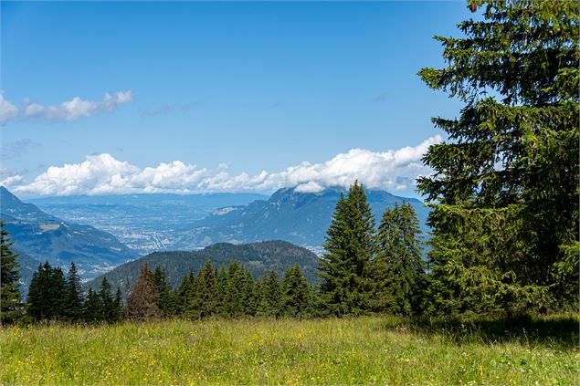 Vue depuis la Croix des 7 Frères en été - Thomas Garcia