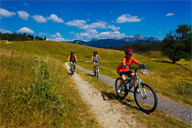 Tour du Plateau de Plaine Joux en VTT - OT Alpes du Léman - Gilles Place