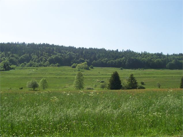 Plateau des Moises - OT Alpes du Léman