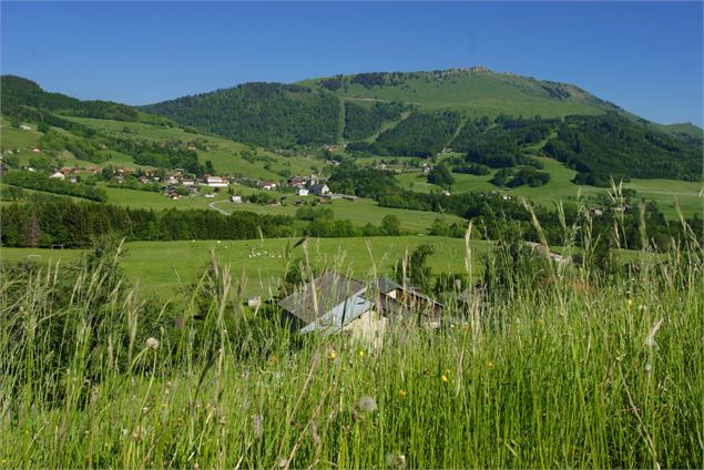 Plateau des Moises - OT Alpes du Léman