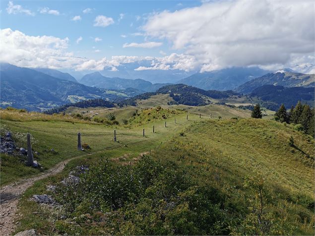 Vue depuis les alpages - OT Alpes du Léman