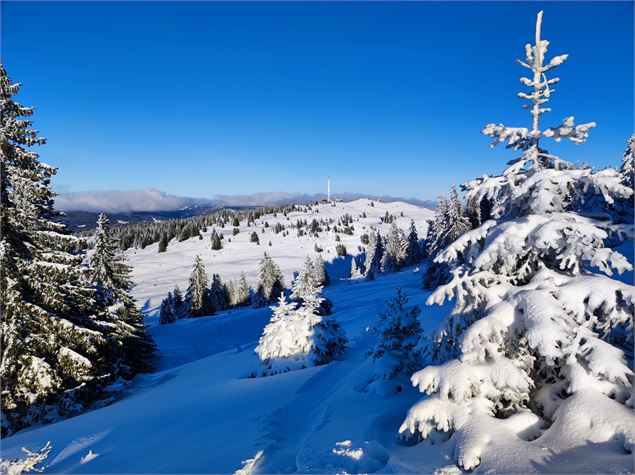 Depuis l'alpage du Crozat - ©AMbarbe