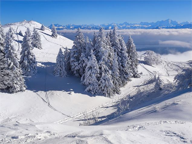 Au sommet du téléski des Gelinottes - ©AMbarbe