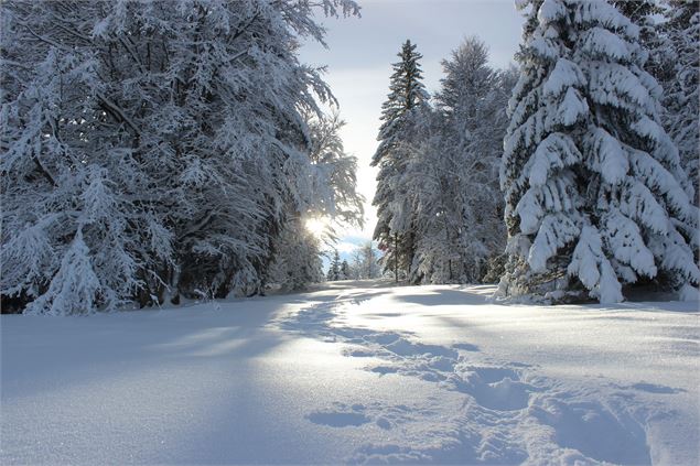 Le sentier de raquettes - ©Hervé COMBEAUX