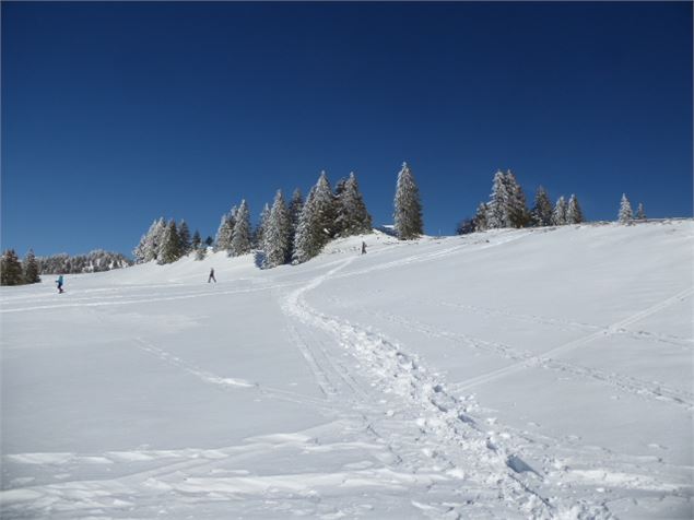 le sentier raquette - ©Hervé COMBEAUX