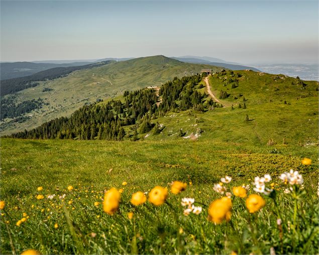 Crêtes du Haut Jura - ©jthevenard