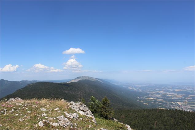 Crêt du Frasse - ©jthevenard