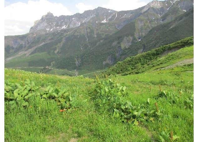 Montagne de Tête - B16