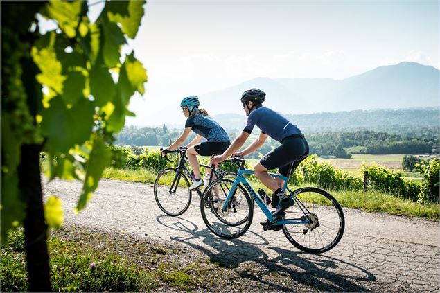 vélo vignoble - Peignée Verticale - Grand Chambéry Alpes Tourisme