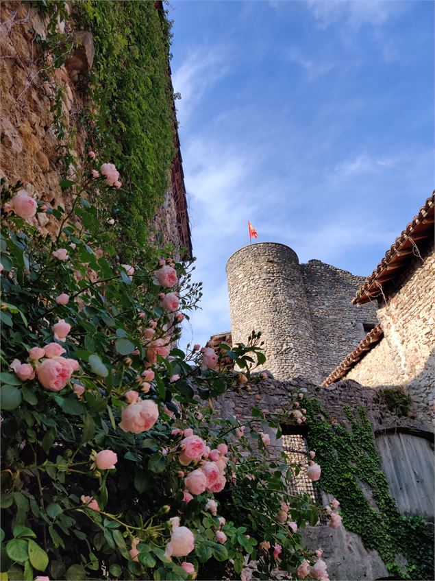 tour de guet depuis la rue des rondes à Pérouges - Marilou Perino