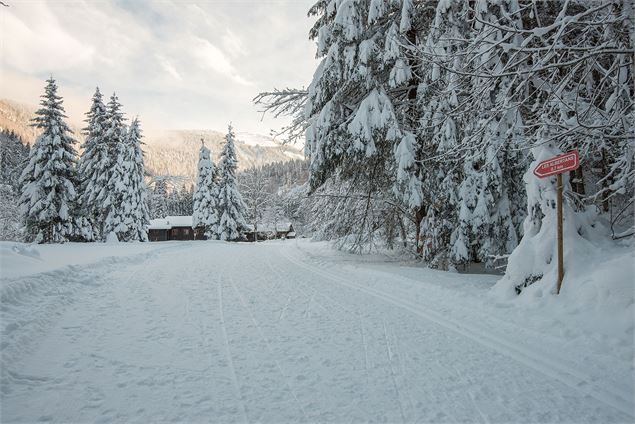 La piste de ski de fond avant le hameau des Albertans - Yvan Tisseyre / OT Vallée d'Aulps