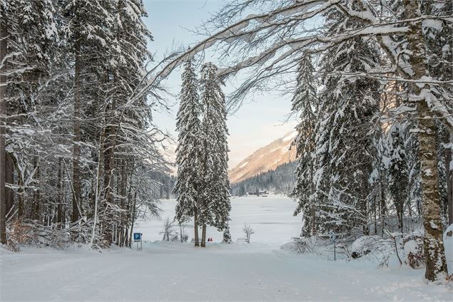 Départ de la piste de ski de fond : vue sur le lac de Montriond - Yvan Tisseyre / OT Vallée d'Aulps