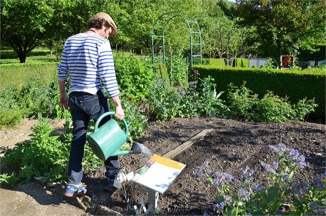 Potager conservatoire - CD01, Agathe GAUBERT