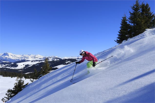 Une poudreuse légère pour freeride facile et de proximité - MJONE Diffusion