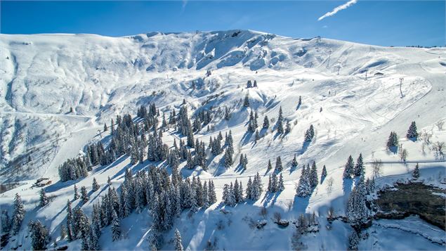 Pistes et zone hors piste freeride - MJONE Diffusion