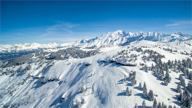 Espace Diamant regard sur le Mont-Blanc - MJONE Diffusion