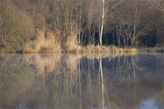 Plan d'eau de Coise - Laurent Madelon