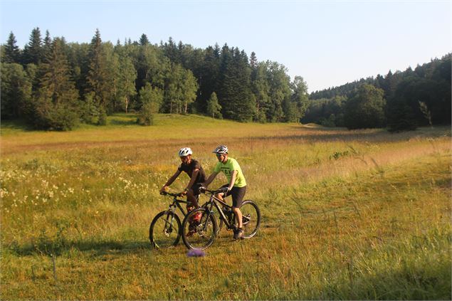 Parcours VTT 64 rouge - Montfalcon - Espace FFC Ain Forestière - C.Kaderabek-Haut Bugey Tourisme