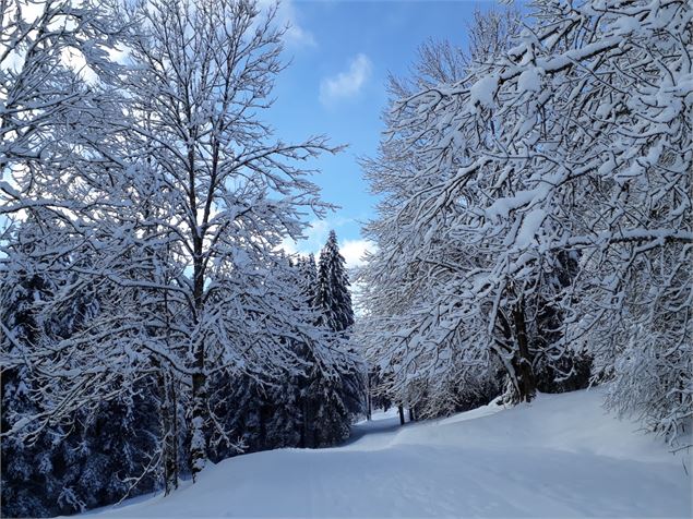 En allant sur le Niaizet - ©OTpaysdegex