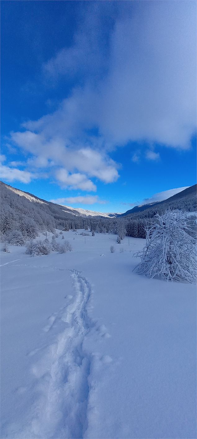 La combe du Niaizet - ©OTpaysdegex