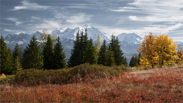 Plateau des Bénés - JMBarey/Cordon Tourisme