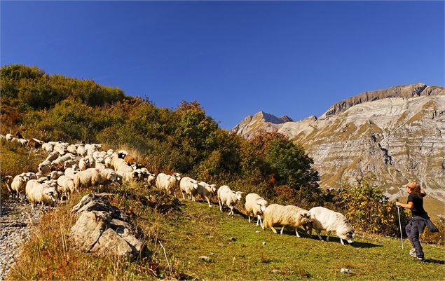 Plateau des Bénés - JMBarey/Cordon Tourisme