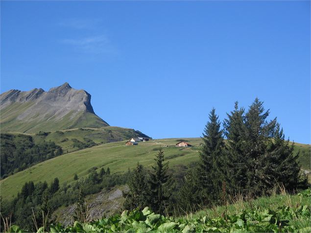 Vue depuis Tête noire sur le plateau des Bénés - CordonTourisme