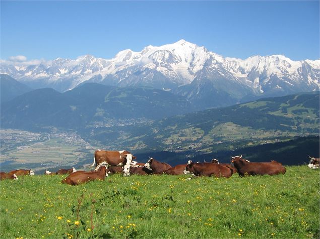 Plateau des Bénés sur le chemin de la Tête du Planet