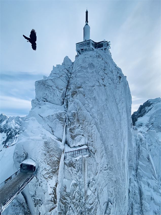 Aiguille platree - OT Vallée de Chamonix-Mont-Blanc