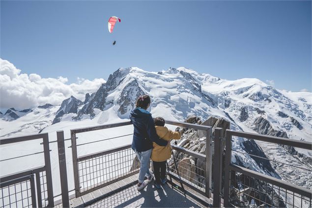 Plateforme Sommitale - OT Vallée de Chamonix-Mont-Blanc