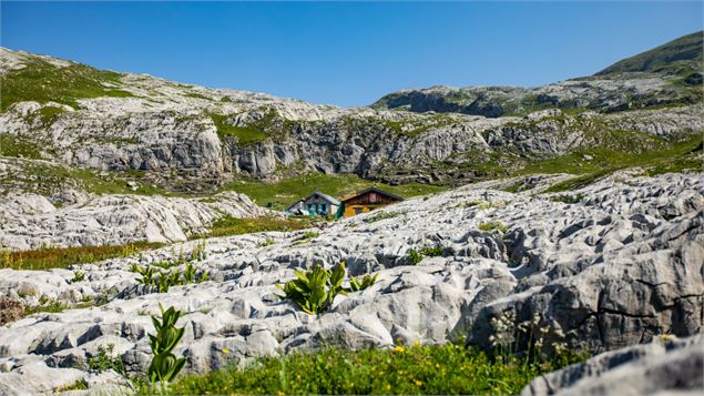 Désert de Platé - Passy Tourisme