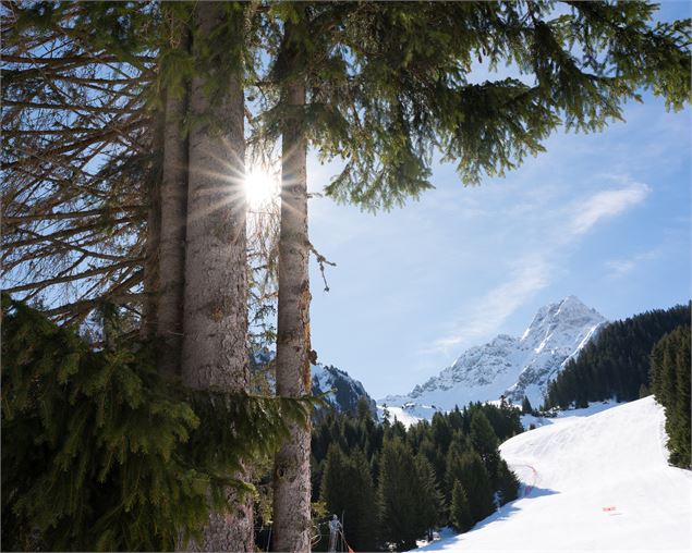 Vue depuis les pistes - Nicolas Blandin