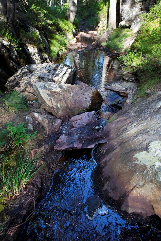 nant-rouge-tourbiere-les-saisies - P. Somelet