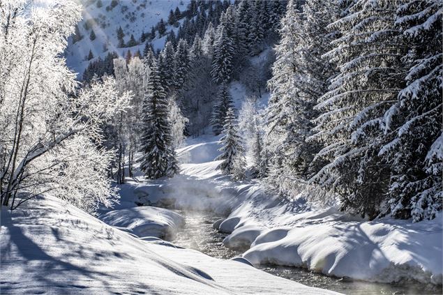 Vallon de Champagny Le Haut - JM GOUEDARD