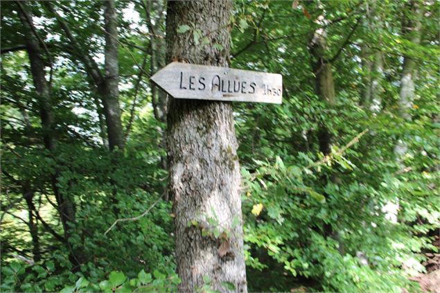 Bois de Cythère à Brides les Bains - Bois de Cythère à Brides les Bains