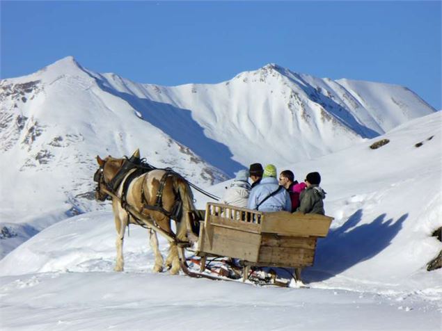 Traîneau attelage sur neige