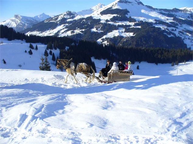 Traîneau attelage sur neige