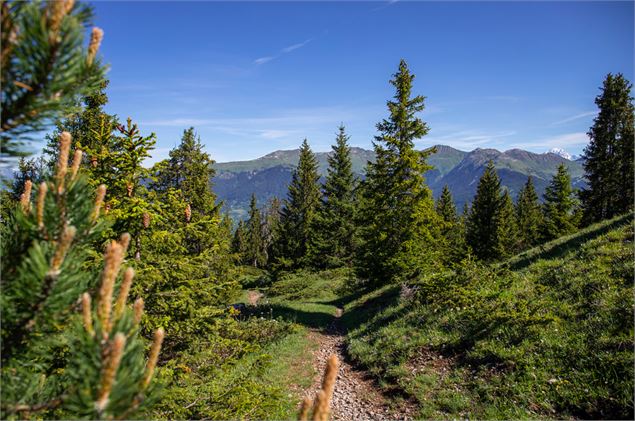 Gravelles - Courchevel Tourisme