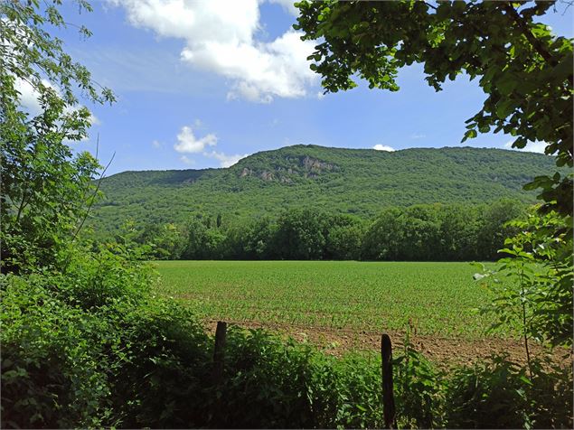 Parc paysager de Lagnieu - K.Tranchina