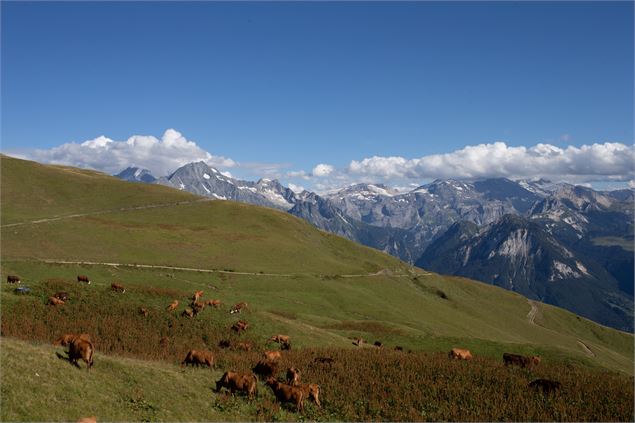 Boucle du Mont Jovet - Bozel - Geoffrey Vabre