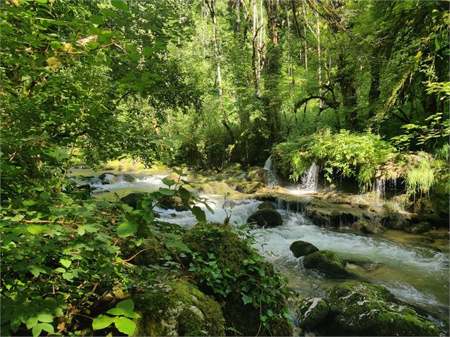 rivière d'Albarine sentier au fil de l'eau Chaley - Sabrina Megani