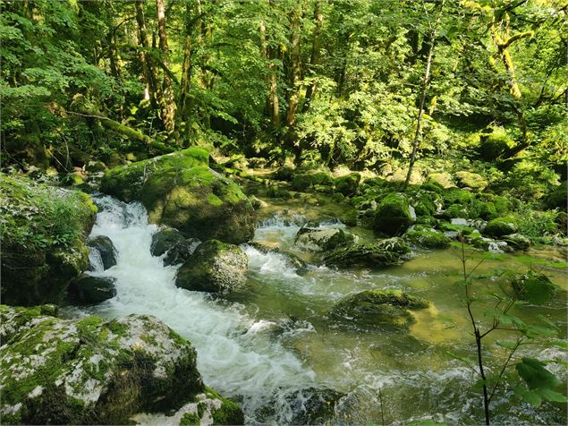 rivière d'Albarine sentier au fil de l'eau Chaley - Sabrina Megani