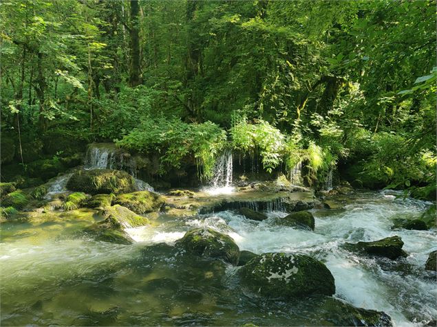 rivière d'Albarine sentier au fil de l'eau Chaley - Sabrina Megani